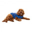 Sweat à capuche pour chien FuzzYard The Homies, bleu (taille 1)