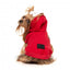 Sweat à capuche pour chien FuzzYard The Homies, rouge (taille 1)