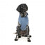 Sweat à capuche pour chien FuzzYard Treats, bleu (taille 6)