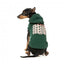 Sweat à capuche pour chien FuzzYard Treats, vert (taille 1)