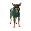 Sweat à capuche pour chien FuzzYard Treats, vert (taille 1)