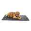 Tapis de voyage pour chien FuzzYard FY Active 60x90 cm (taille S)