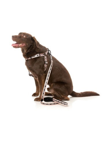 Laisse chien en néoprène FuzzYard FY Active, pêche (taille L)