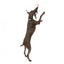 Jouet flottant pour chien FuzzYard Fetch N Float pêche