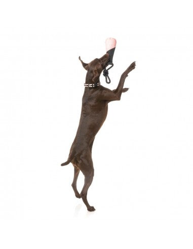 Jouet flottant pour chien FuzzYard Fetch N Float pêche