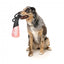 Jouet flottant pour chien FuzzYard Fetch N Float pêche