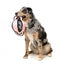 Balle à tirer pour chien FuzzYard Ball Tug pêche