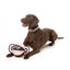 Balle à tirer pour chien FuzzYard Ball Tug pêche