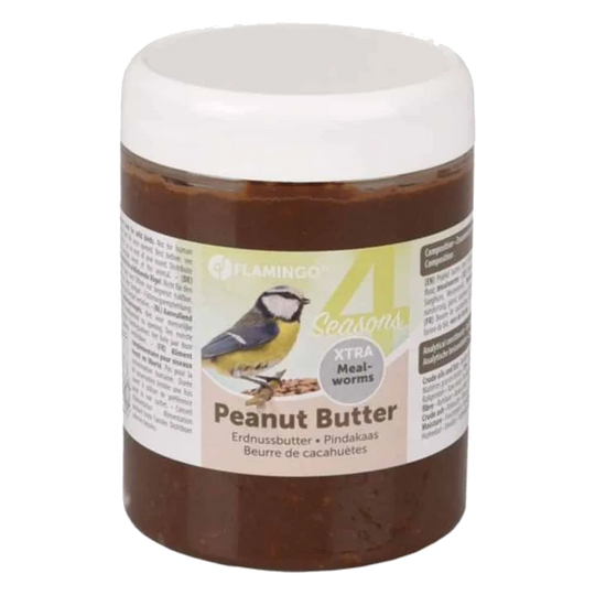 Friandises beurre de cacahuète et graines de tournesol pour oiseaux