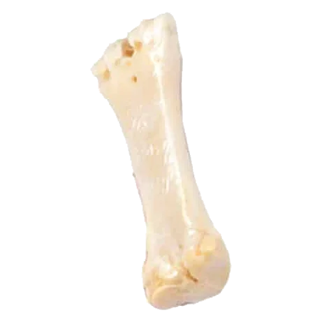 Os au calcium naturel pour chien