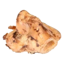 Os de tibia Nature pour chien, 13-14 cm