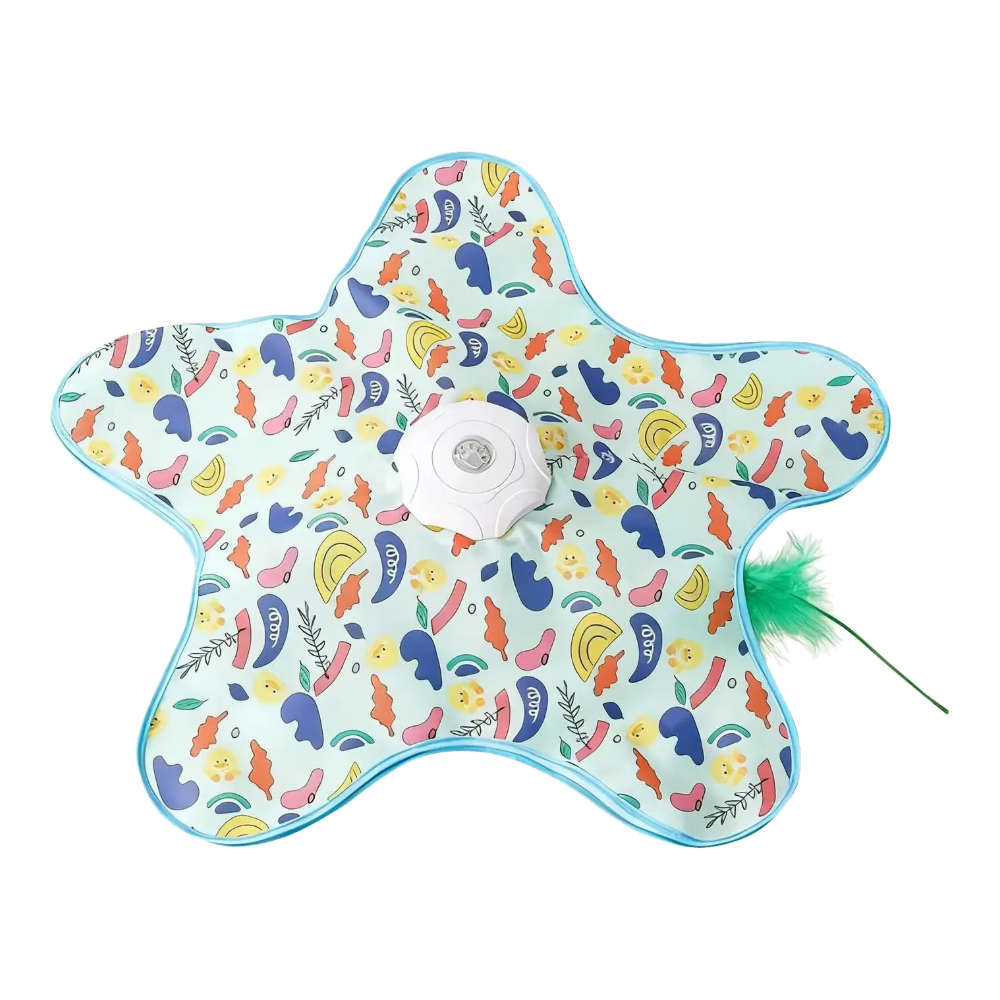 Jouet interactif pour chat en forme d'étoile avec plume, motif multicolore