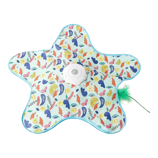 Jouet interactif pour chat en forme d'étoile avec plume, motif multicolore