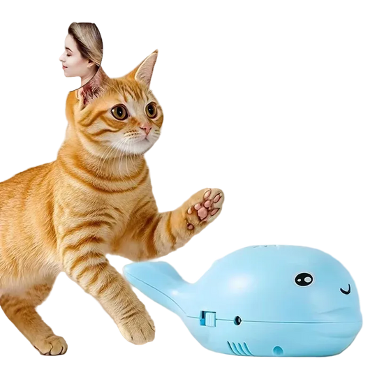 Juguete de pelota flotante con aire para gatos, alimentación USB - ZONLIDOOG