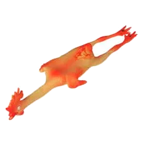 Jouet poulet en latex 49 cm pour chien