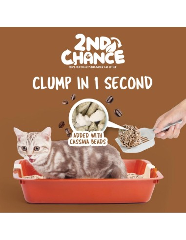 Litière agglomérante pour chat Kit Cat 2nd Chance café 7 L