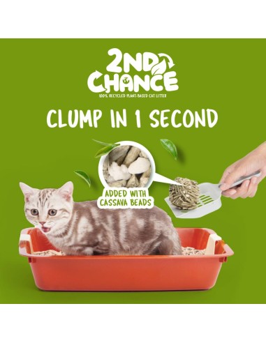 Litière agglomérante pour chat Kit Cat 2nd Chance thé vert 7 L