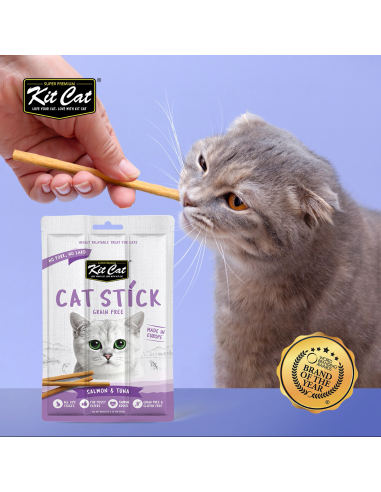 Friandise pour chat Kit Cat Cat Stick saumon et katsuobushi 15 g