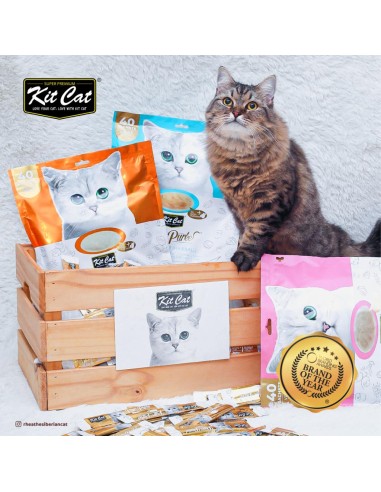 Friandises pour chat Kit Cat PurrPuree poulet et saumon 40 x 15 g