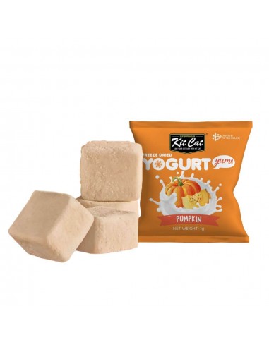 Friandises pour chat Kit Cat Yogurt Yums citrouille 10 g