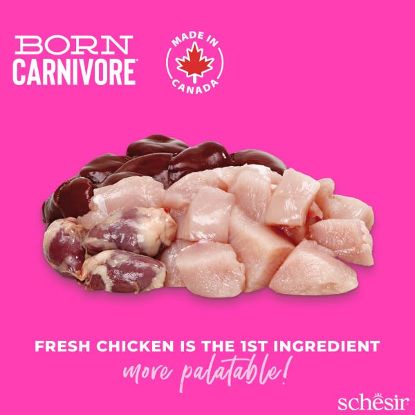 Croquettes chaton Schesir Born Carnivore poulet avec œuf, 1,25 kg – image 2