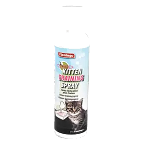 Jouet Kitten Trainer pour chat