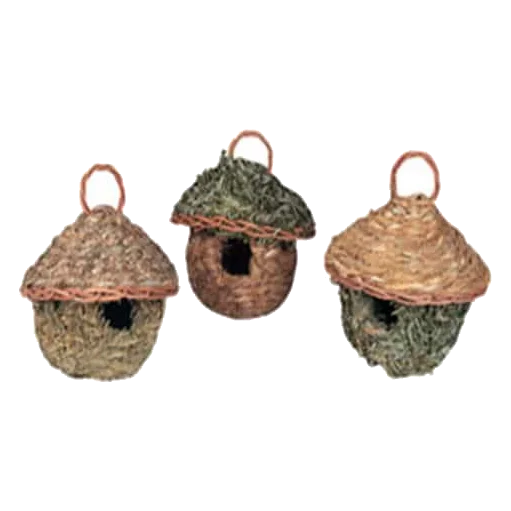 Nids tropicaux pour oiseaux