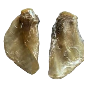 Oreille de veau emballée pour chien