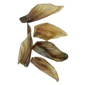 Friandises naturelles chien oreilles de buffle Flamingo, lot de 5