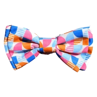 Nœud papillon pour chien FuzzYard Fresh Zest à velcro