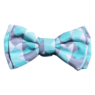 Nœud papillon pour chien FuzzYard Mint Fizz à velcro