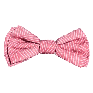Nœud papillon pour chien FuzzYard Thornbury Brick Red à scratch