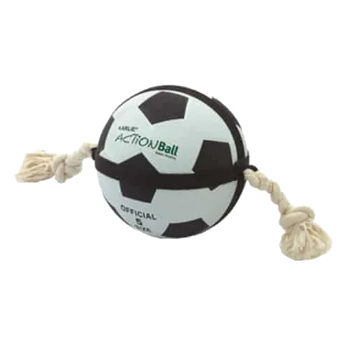 Ballon Actionbal pour chien, 19 ou 22 cm