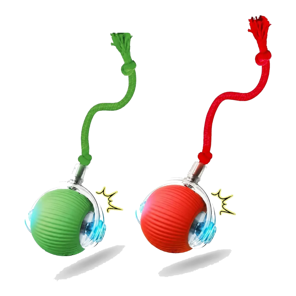Lot de balles automatiques pour chat rouge et verte avec queue