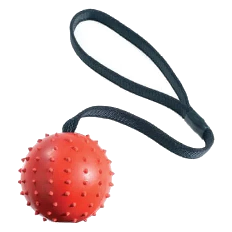 Balle avec corde Classic Pimple Ball & Rope pour chien, 70 mm