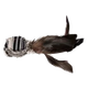 Balle à plumes noir et blanc pour chat