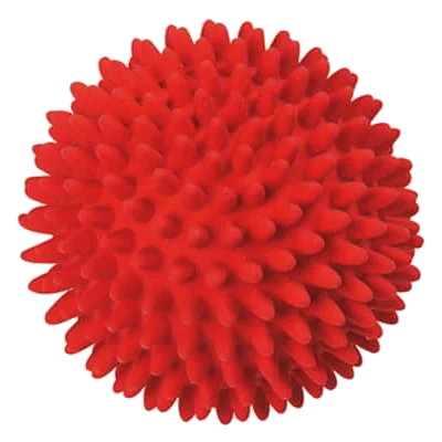 Balle à picots en latex pour chien, 9 cm