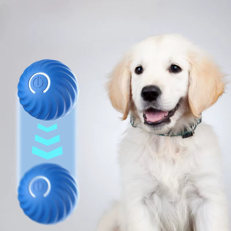 Pelota inteligente que rueda y rebota sola para perros, USB, vista de detalle 2