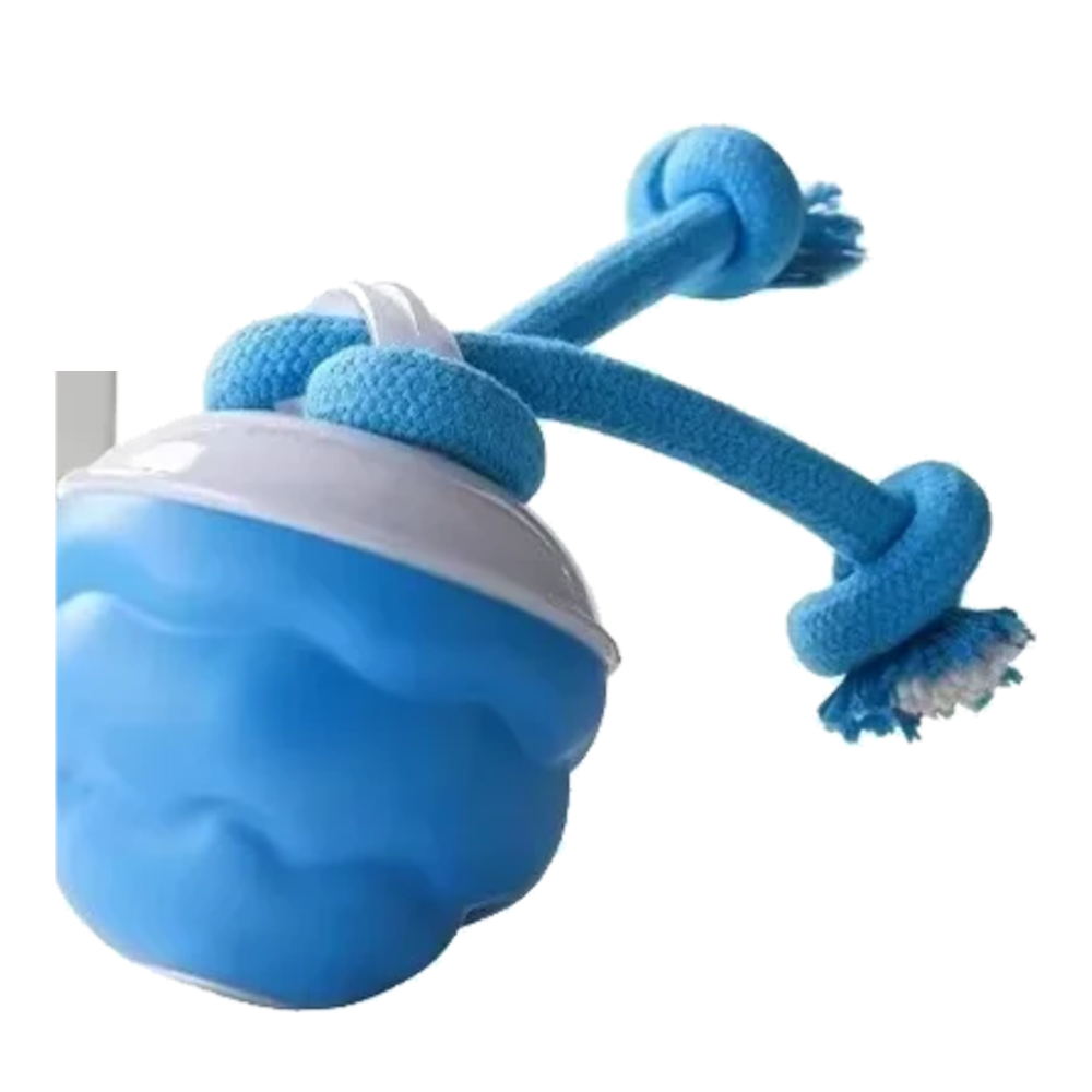 Balle interactive pour chien avec corde, version bleue améliorée