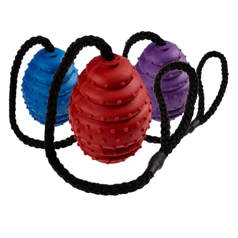 Balle ovale en caoutchouc avec corde Classic pour chien