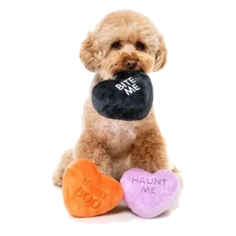 Peluche d'Halloween pour chien FuzzYard Spooky Candy Hearts, lot de 3