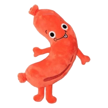 Peluche pour chien FuzzYard Meat Heads Brad Wurst avec couineur