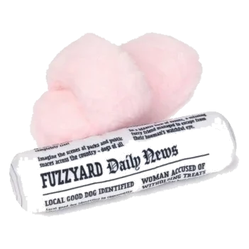 Peluches chien FuzzYard chaussons et journal, lot de 2