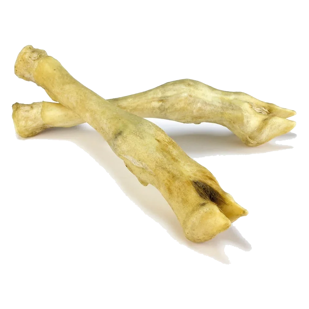 Pieds d'agneau déshydratés pour chien, blister de 2