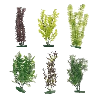 Plante d’aquarium assortie grande, 30 cm