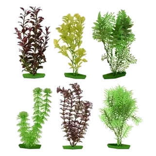 Plante d’aquarium assortie moyenne, 20 cm