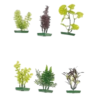 Petites plantes d’aquarium assorties, 10 cm, 6 pièces