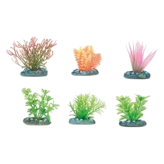 Petites plantes d’aquarium assorties, 5 cm, 6 pièces