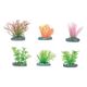Petites plantes d’aquarium assorties, 5 cm, 6 pièces
