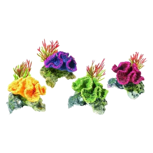 Plantes et corail pour aquarium